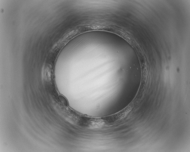 X0000052940214200507221155