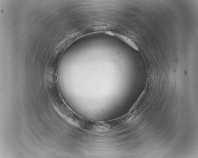 X0000052940215200507221155