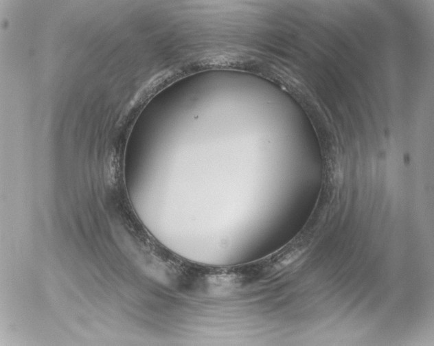 X0000052940216200507221155