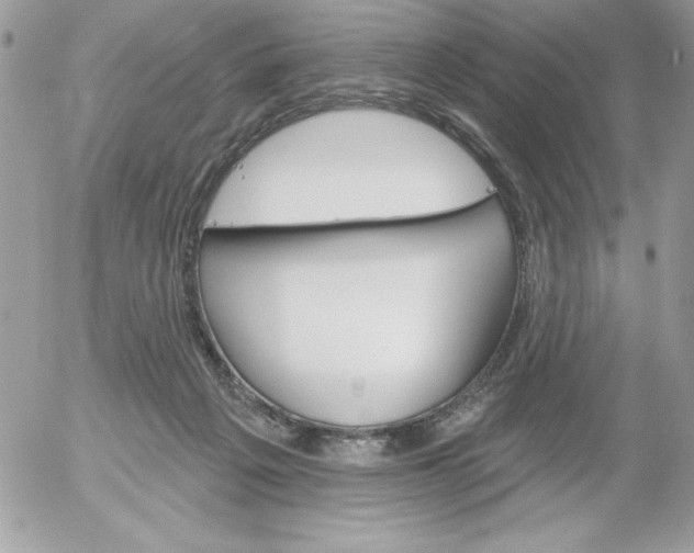 X0000052940217200507221155