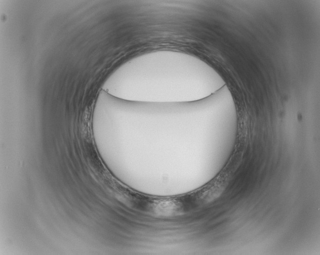 X0000052940218200507221155