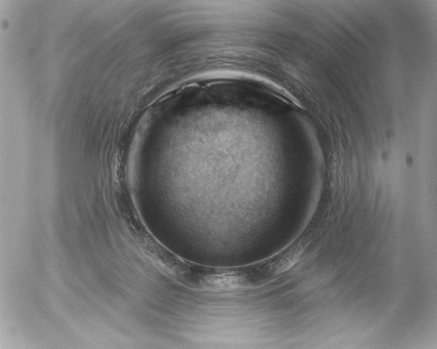 X0000052940219200507221155