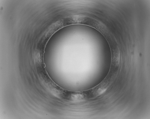 X0000052940220200507221155