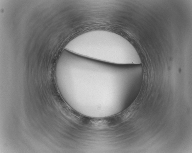 X0000052940221200507221155