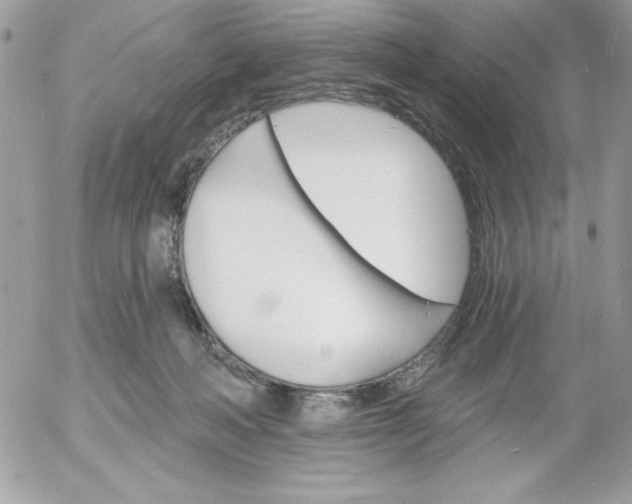 X0000052940222200507221155