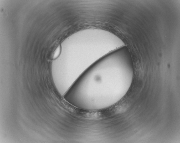 X0000052940225200507221154