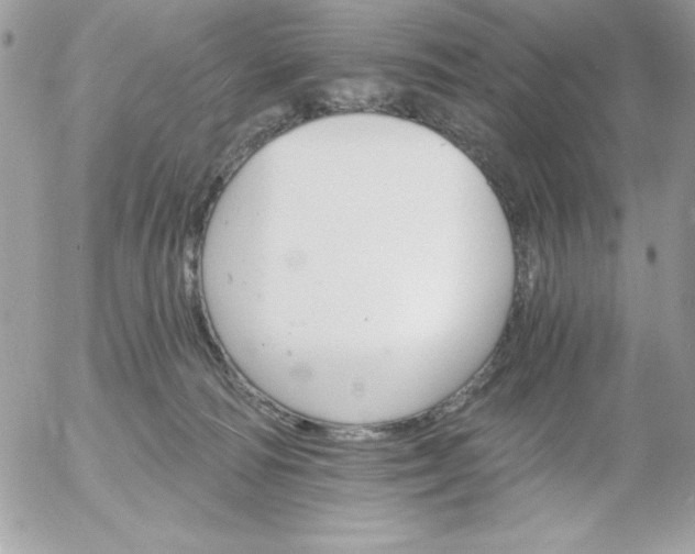 X0000052940226200507221154