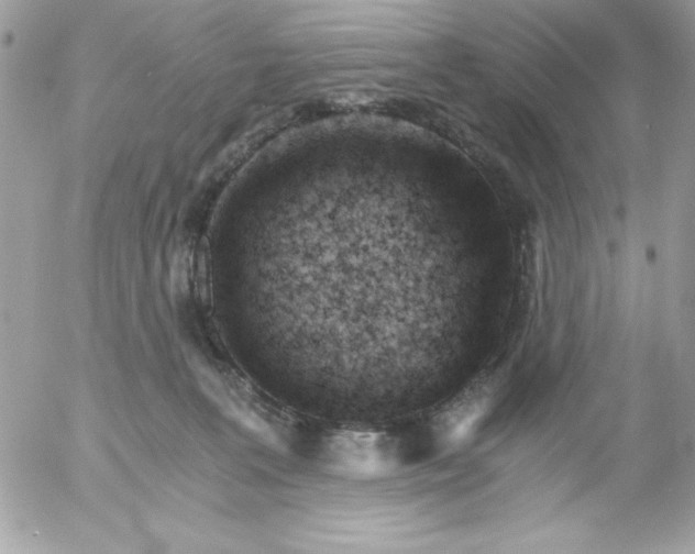 X0000052940227200507221154