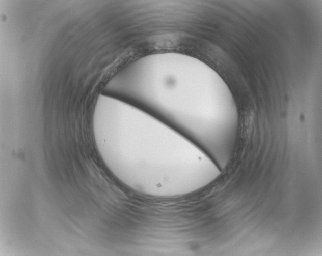 X0000052940228200507221154