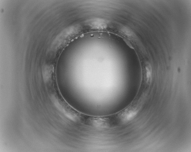 X0000052940229200507221154