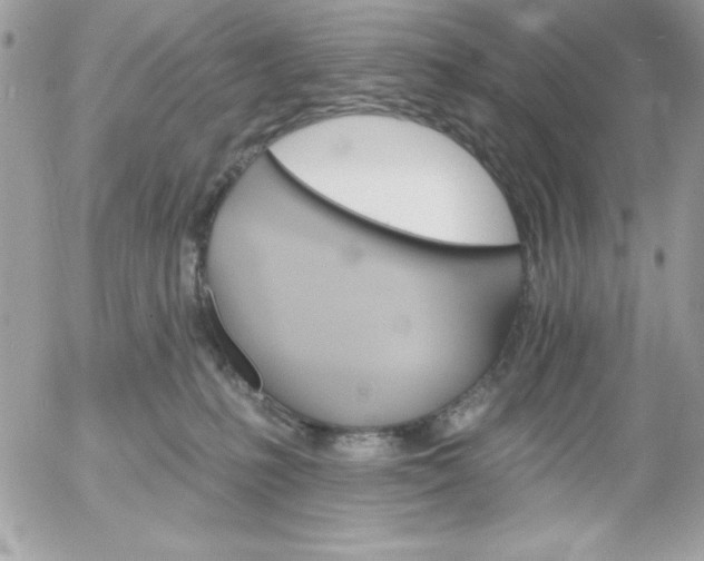 X0000052940231200507221154