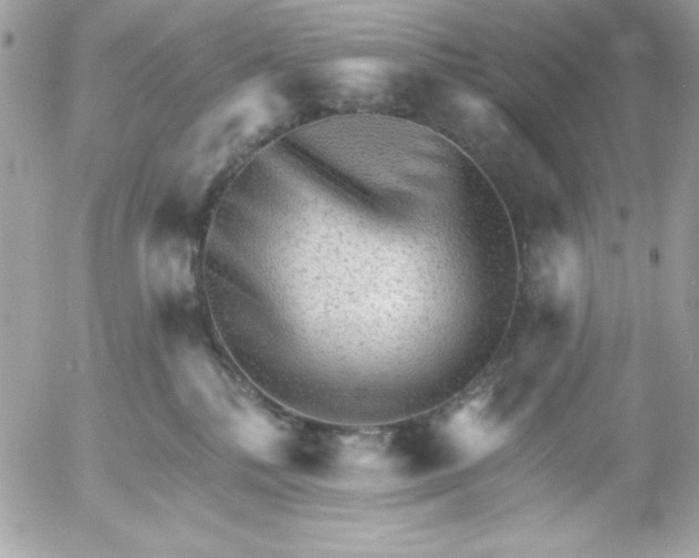 X0000052940232200507221154