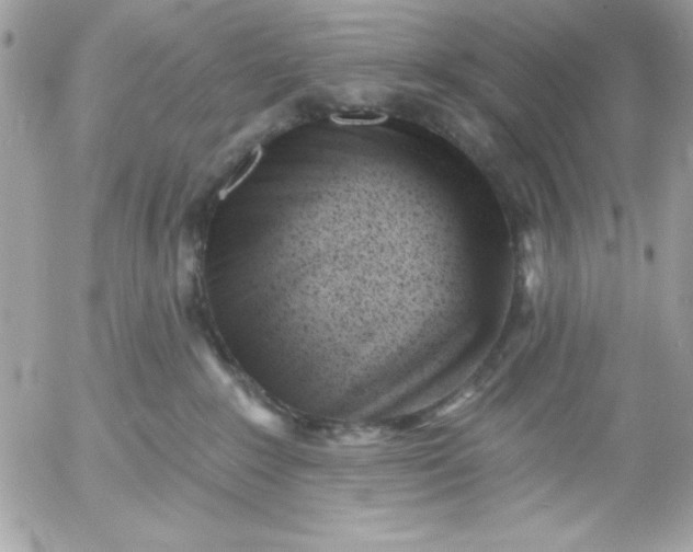 X0000052940235200507221154