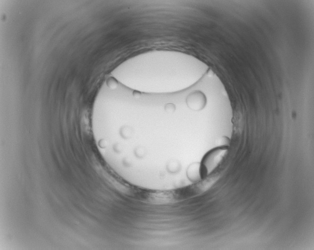 X0000052940238200507221154