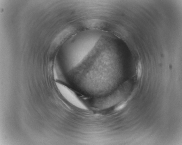 X0000052940239200507221154