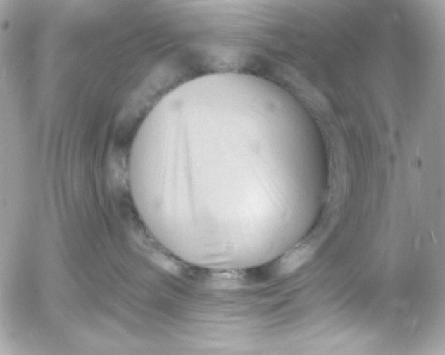 X0000052940240200507221154