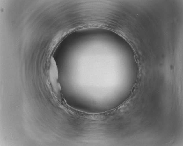 X0000052940241200507221153