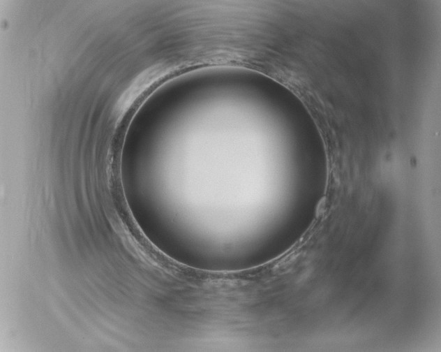 X0000052940242200507221153