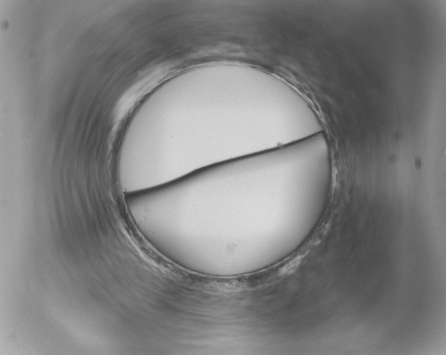 X0000052940245200507221154