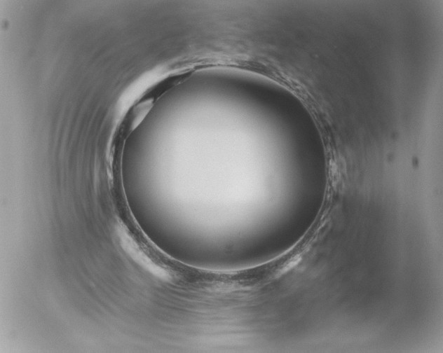 X0000052940246200507221154