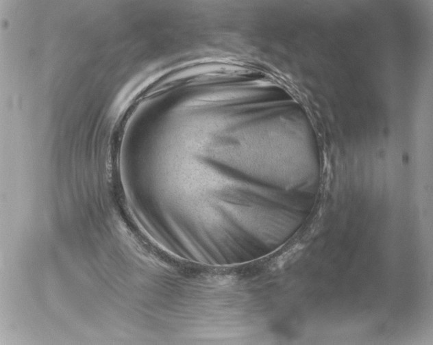 X0000052940247200507221154