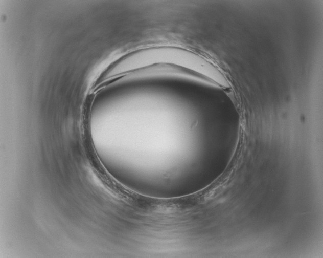 X0000052940248200507221154