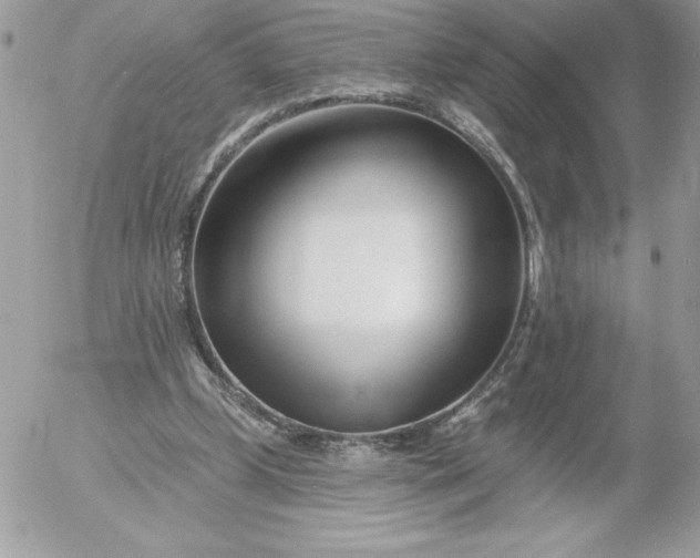 X0000052940249200507221154