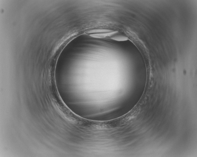 X0000052940250200507221154