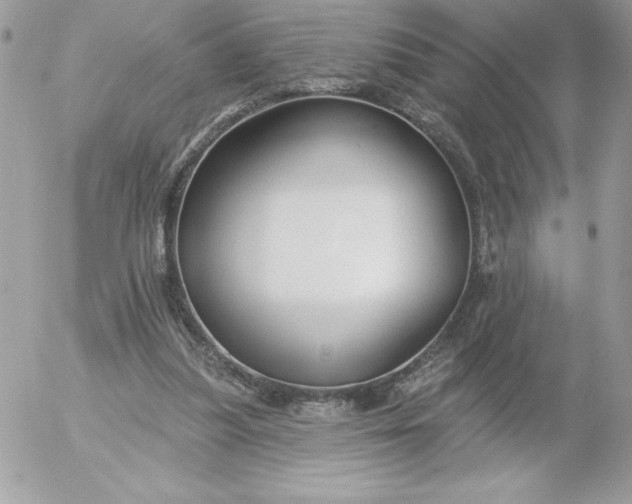 X0000052940251200507221154