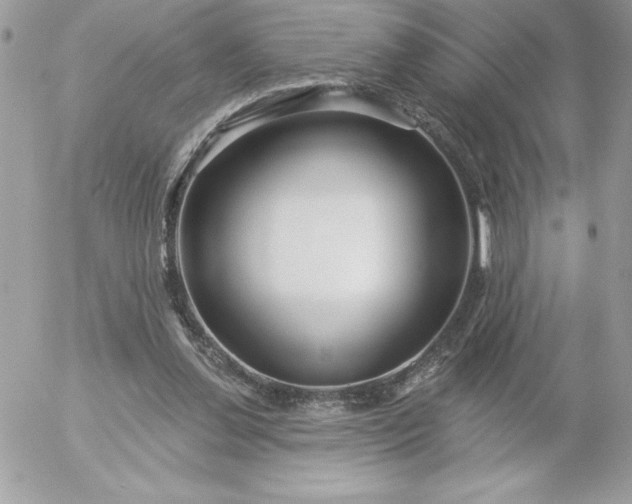 X0000052940252200507221154