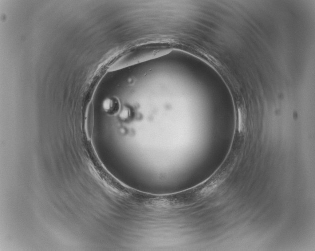 X0000052940253200507221154