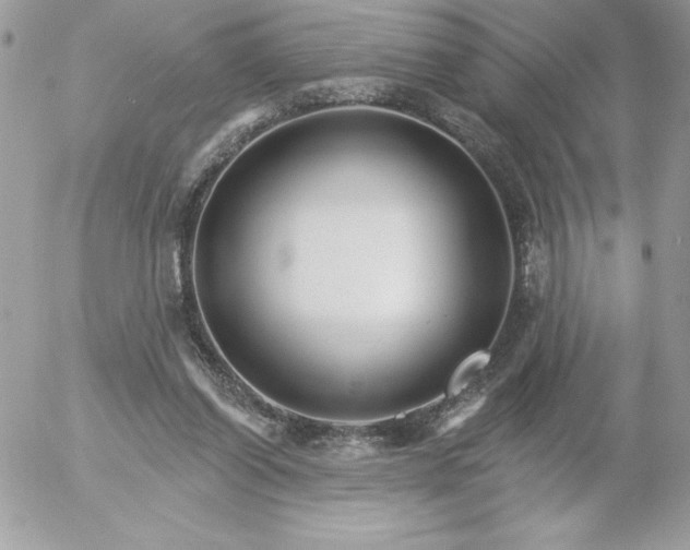 X0000052940254200507221154