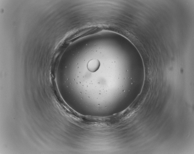 X0000052940256200507221154