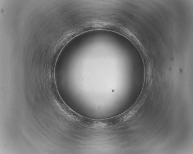 X0000052940257200507221154