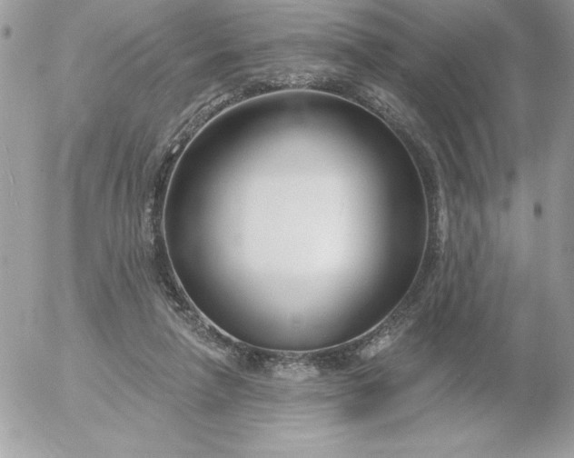 X0000052940258200507221154