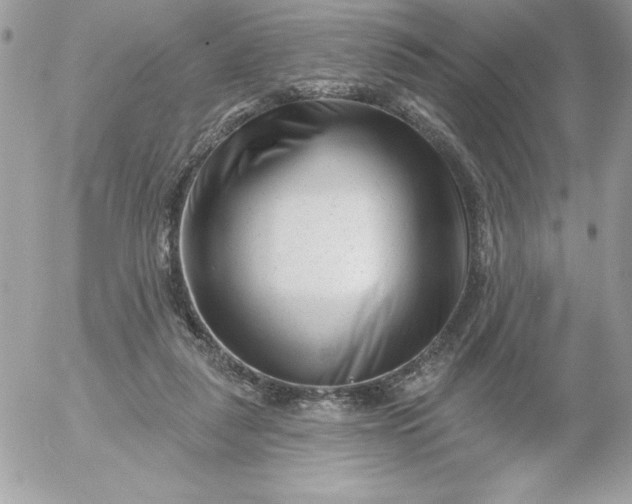 X0000052940259200507221154