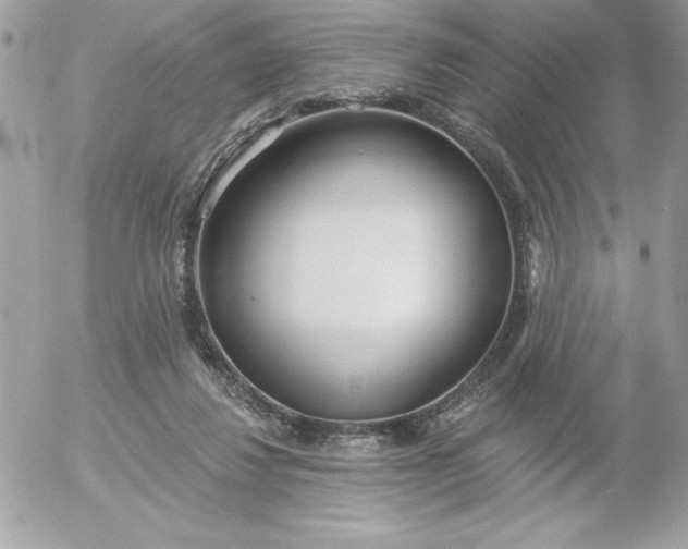 X0000052940260200507221154