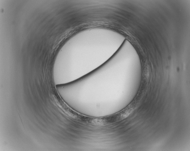 X0000052940261200507221154