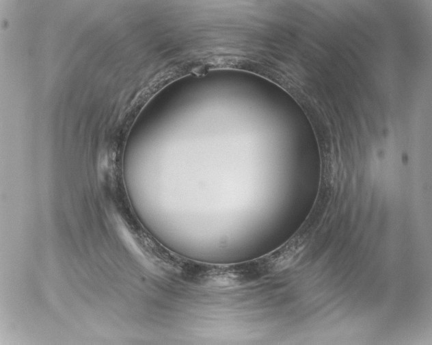 X0000052940263200507221154