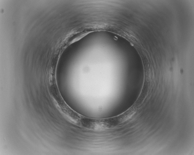 X0000052940264200507221154