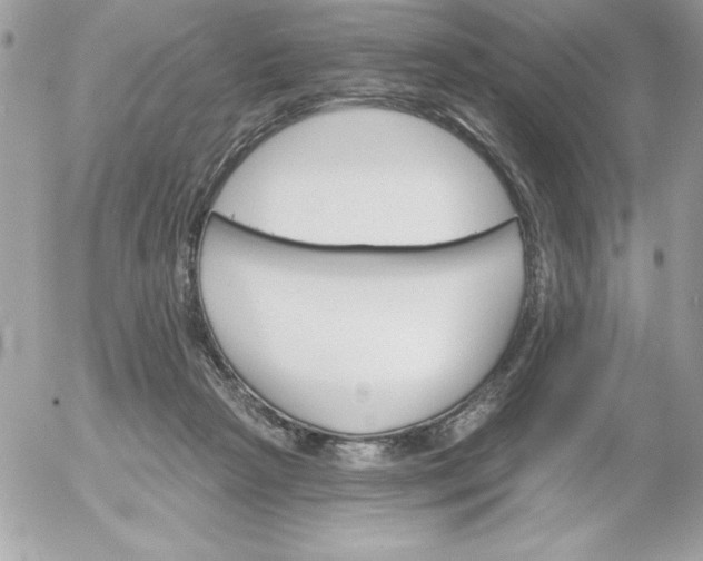 X0000052940265200507221154