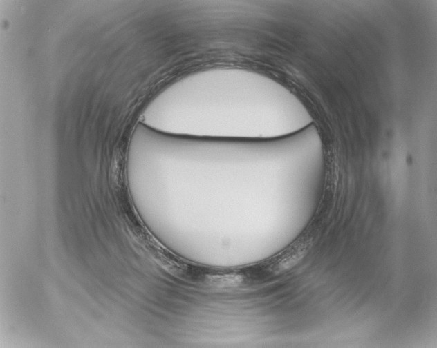 X0000052940266200507221154