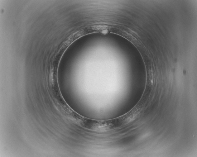 X0000052940267200507221154