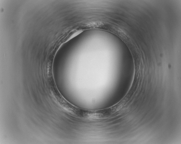 X0000052940268200507221154