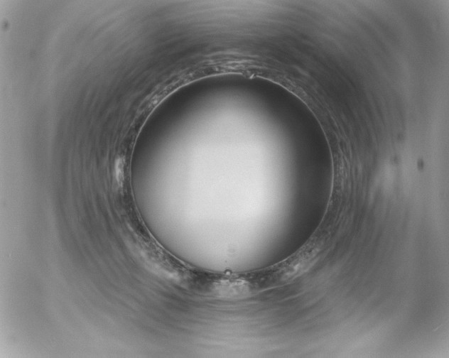 X0000052940271200507221154