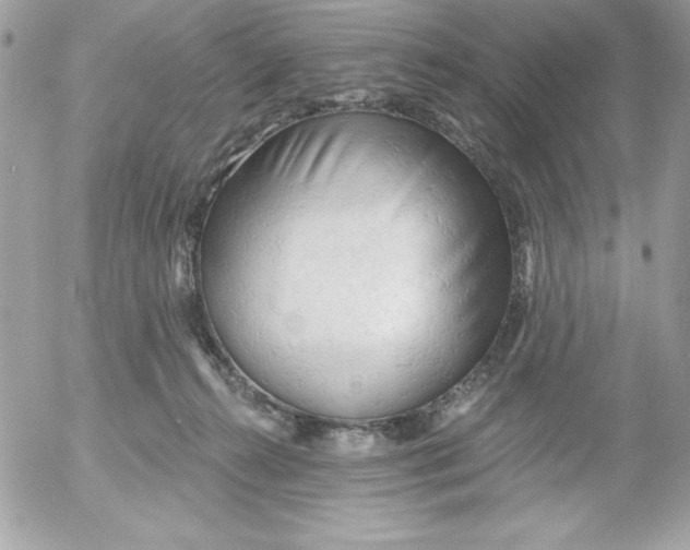 X0000052940272200507221154