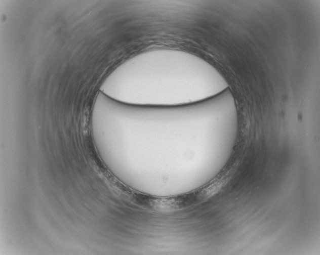 X0000052940273200507221154