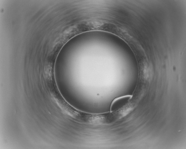 X0000052940274200507221154