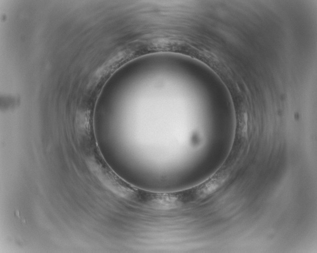 X0000052940278200507221154