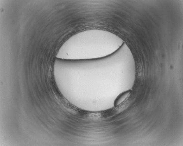 X0000052940279200507221154